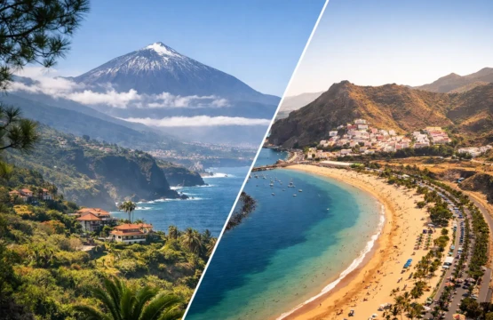 North vs South Tenerife: Which Fits You?